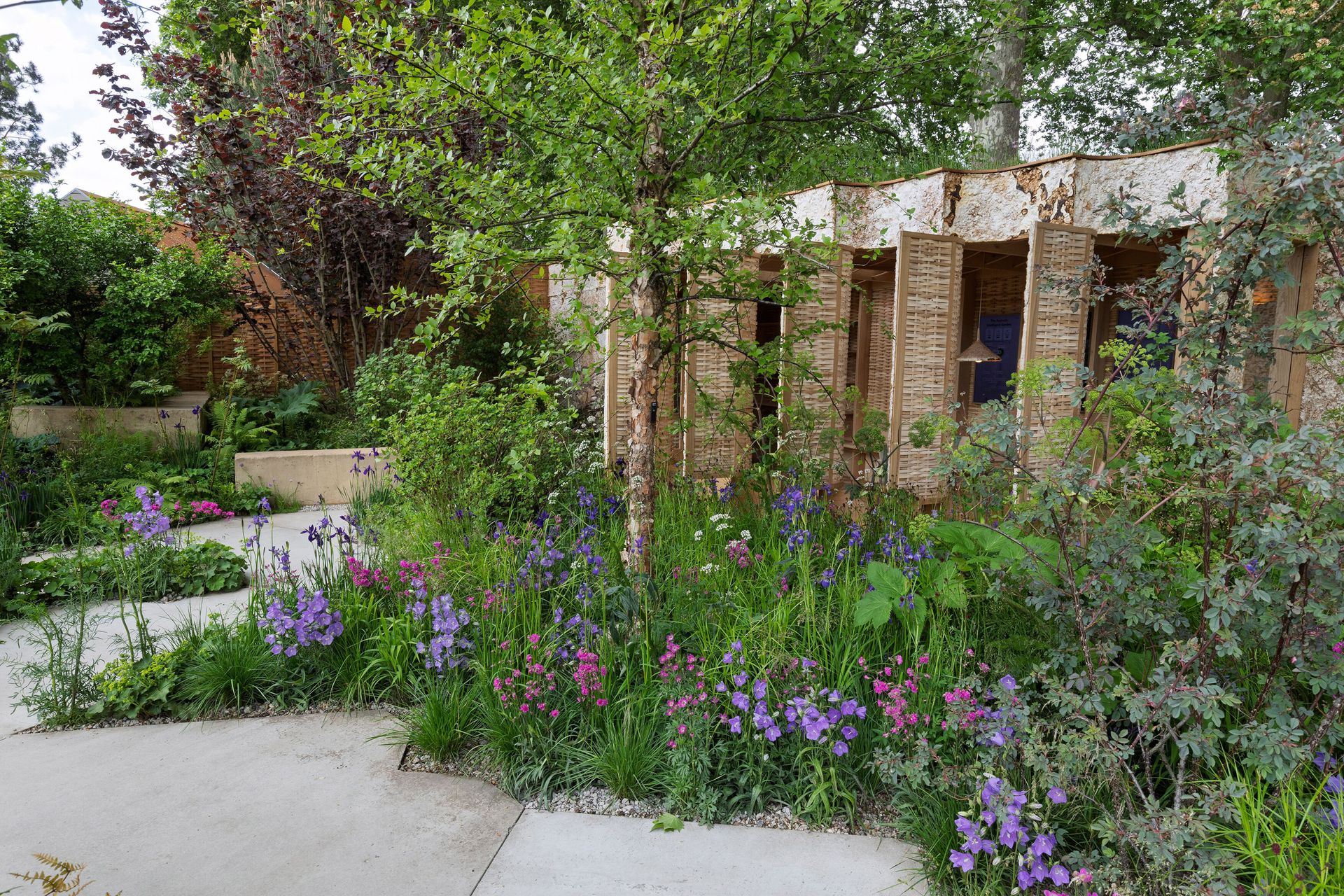 Tom Massey & Je Ahn's Chelsea Flower Show 2025 show Avanade Intelligent Garden