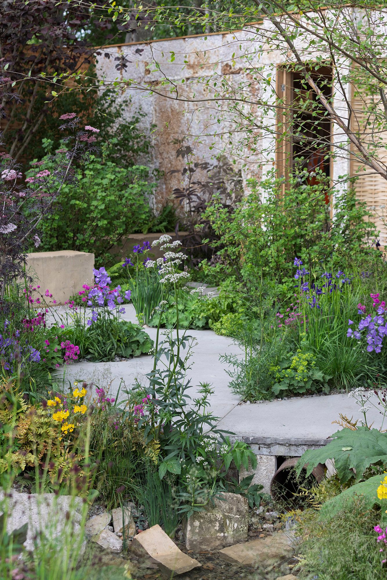 Tom Massey & Je Ahn's Chelsea Flower Show 2025 show Avanade Intelligent Garden